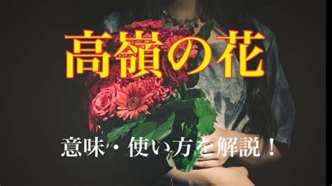 高嶺の花とはどんな人|「高嶺の花」とは？その特徴と心理、対処法まで徹底。